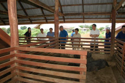 Image Image
